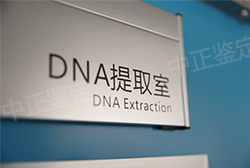 绍兴亲子鉴定哪些医院能做，绍兴医院办理血缘检测服务详解